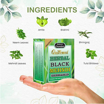 QuikHenna Herbal Black Mehndi byPureNaturals-1